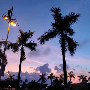 人妖鸡巴操人妖屁眼视频
