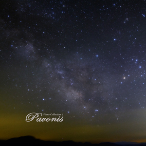 人妖鸡巴操人妖屁眼视频
